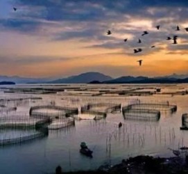 渠县伴游中国网景点丰富(旅游网介绍)
