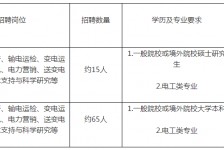 渠县重庆有雇用伴游外围吗(高端外围伴游雇用一单一结)