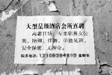 渠县珠海伴游雇用网(珠海游览社雇用信息)