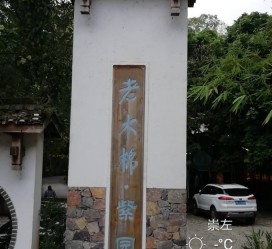 渠县关于伴游中国伴游你们伴得是什么游的信息