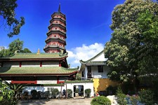 渠县广州自由行(广州 自由行)