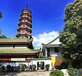 渠县广州自由行(广州 自由行)