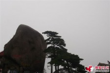 渠县上海伴游私家陪游雇用女模(上海伴游私家陪游雇用女模特)
