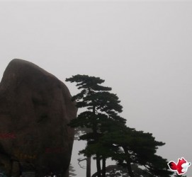 渠县上海伴游私家陪游雇用女模(上海伴游私家陪游雇用女模特)