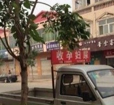 渠县上海伴游 用伴游造句大全(5