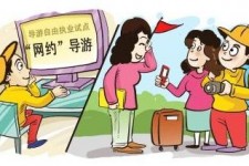 渠县伴游是什么