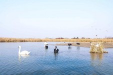 渠县南昌附近伴游小妹兼职(1534939978姐的微信德惠市)