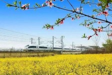 渠县高铁游(高铁游戏下载手机版)