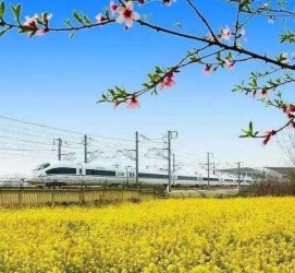 渠县高铁游(高铁游戏下载手机版)
