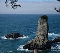 渠县旅游全攻略(上海旅游全攻略)