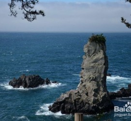 渠县旅游全攻略(上海旅游全攻略)