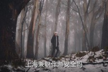 渠县上海私人伴游 上海伴游，上海兼职伴游安全吗