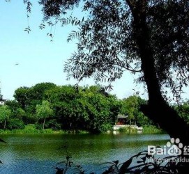 渠县西湖旅游攻略(上海到杭州西湖旅游攻略)