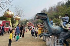 渠县中国伴游带你打卡网红南山竹海(南山竹海网上预约)