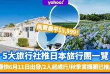 渠县旅游价格(旅游价格机制)