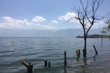 渠县洱海旅游攻略(洱海旅游攻略自由行)