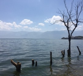 渠县洱海旅游攻略(洱海旅游攻略自由行)