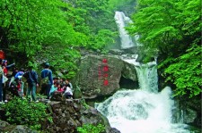 渠县安吉旅游攻略(湖州安吉旅游攻略)