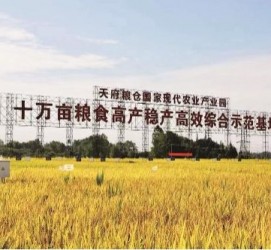 渠县关于成都商务伴游外围雇用的信息