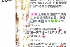 渠县外围伴游雇用圈套(雇用伴游什么样子的是实的)