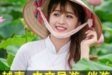 渠县日本关东伴游中国(日本关西旅行)