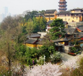 渠县南京周边游(南京周边游景点大全 自驾车旅游)