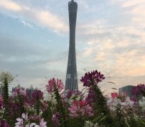 渠县广州旅游攻略(杭州到广州旅游攻略)