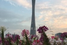 渠县广州旅游攻略(杭州到广州旅游攻略)