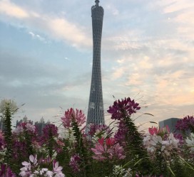 渠县广州旅游攻略(杭州到广州旅游攻略)