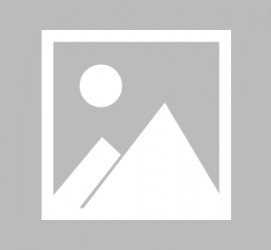 渠县最新导游伴游雇用信息(最新导游伴游雇用信息大全)