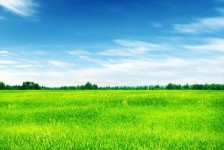 渠县上海伴游 上海模特伴游微信号的交友宣言