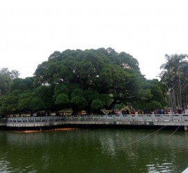 渠县福州旅游攻略(福州旅游攻略二日游)