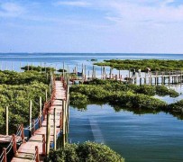 渠县旅游哪里好玩(云南旅游哪里好玩)