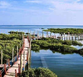 渠县旅游哪里好玩(云南旅游哪里好玩)