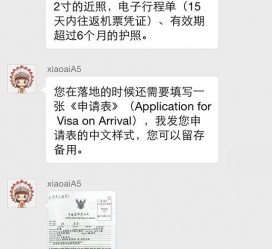 渠县国外伴游软件进中国的(国内高端伴游哪个app好)