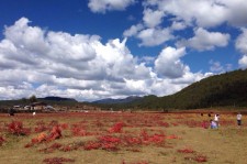 渠县旅游去处(暑期最好的旅游去处)