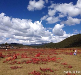 渠县旅游去处(暑期最好的旅游去处)