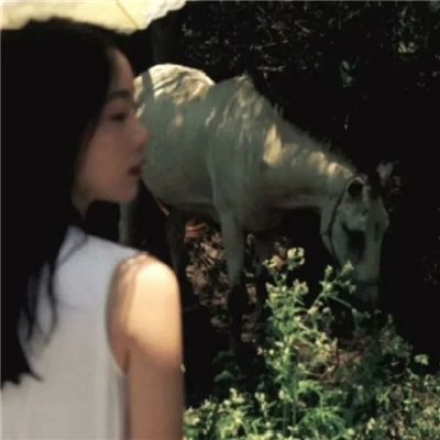 渠县私家伴游让你拥有一次完美的旅游体验