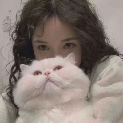 渠县伴游女生韩婉婷的资料